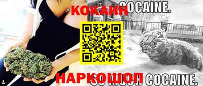 скорость Гагарин