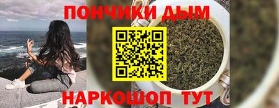 СК Гатчина