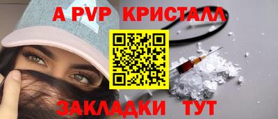 СК Гатчина