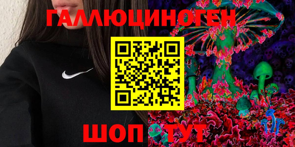 Галлюциногенные грибы Cubensis Калуга